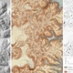 This study required months of meticulous work, in which researchers had to translate lidar terrain data into meaningful archaeological interpretations. All three images above are of the site of Dos Torres, in the rugged karst hills between the cities of Tikal and Uaxactun.